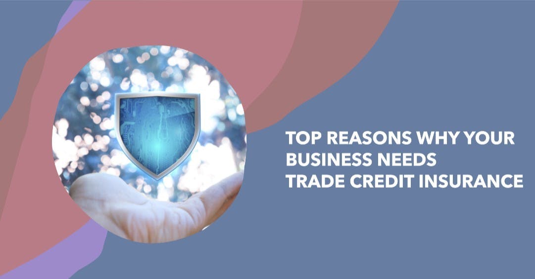 Top Reasons Why Your Business Needs Trade Credit Insurance
